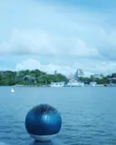 Higgs Kendama