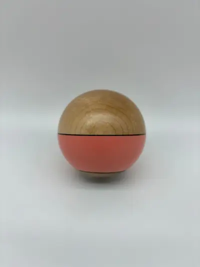 Salmon Sol Shibui Tama