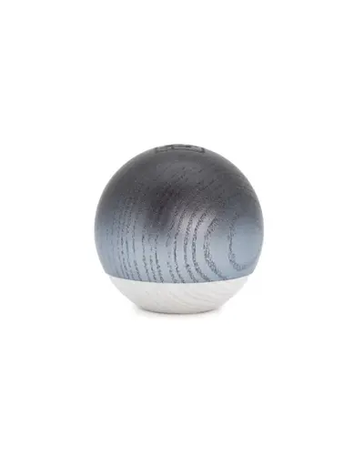Ash Silver Higgs x Depot