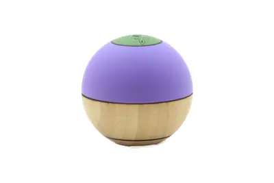 Bamboo EV Gecko