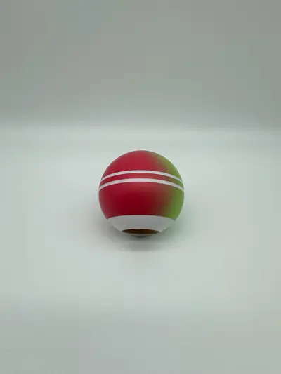 2023 Silk Watermelon Tama