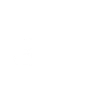 Prism Kendama logo
